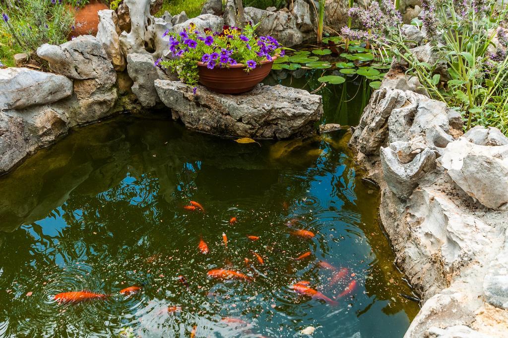 Apartments Sime Sukošan Εξωτερικό φωτογραφία